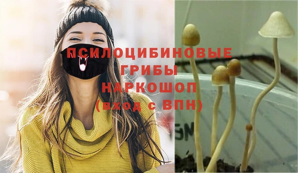 марки nbome Белокуриха