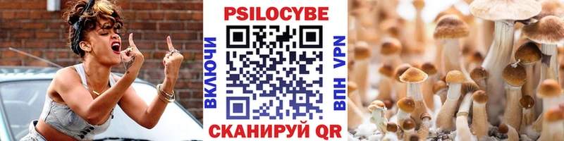 Псилоцибиновые грибы Psilocybine cubensis Буинск